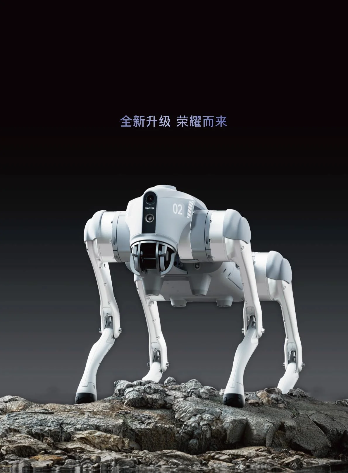 宇树 Go2产品展示